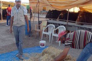 Devletin İthal Et Söylemi Market Ya da Kasabı Değil Köylüyü Vurdu