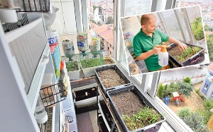 Dar Alanda Mini Tarım