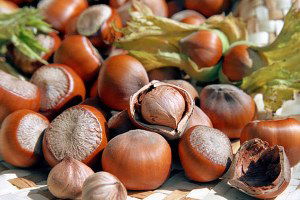 Fındık Fiyatında Büyük Düşüş