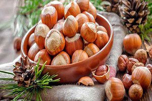 Ziraat Odalarından Fındık Üreticisine Çağrı