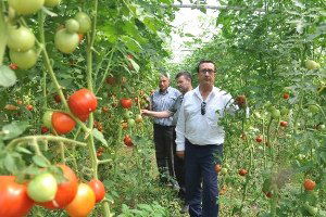İnegöl`ün Geleceği Meyvecilik