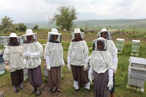 Kadınlar Bal Üretimine El Attı