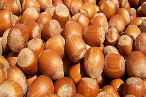 Kalite İçin `Fındığınızı Kurutun` Önerisi