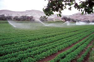 Malatya`ya 16 Milyon Tl`lik Yatırım