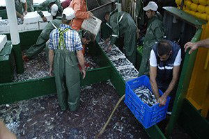 Sezon Başladı! İşte İlk Fiyatlar...