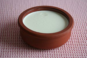 Türkülerle ünlenen Silifke yoğurdu dünyaya açılacak