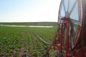 Tamburlu Yağmurlama Sulama Sistemi Projesi