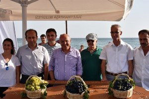 Tekirdağ`ın En Güzel Üzümleri Seçildi