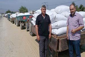 Yüksek Fiyat Açıklayan Tariş`in Üzüm Depoları Önünde Kuyruklar Oluştu