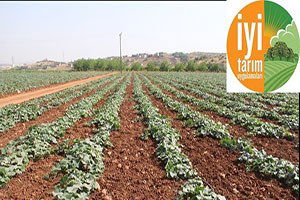 Andırın`da İyi Tarım Uygulamaları Eğitimi Verildi