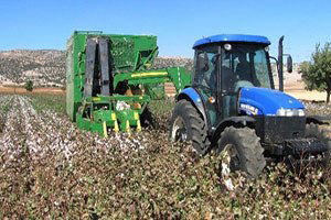 Araban Ovası`nda Pamuk Toplama Fiyatı Belirlendi