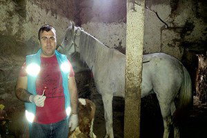 Batı NİL Virüsü Hastalığı Sero Survey Çalışması Tamamlandı