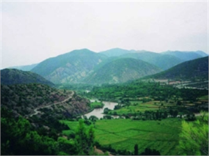 Dünyanın En Verimli Ovası Ranta Kurban Gidiyor