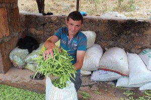 Beyşehir`de Fasülye Etkinliği