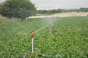 Bireysel Sulama Sistemlerine Hibe Desteği