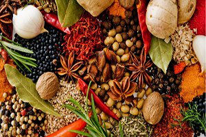 Bitkisel Üretime Büyük Destek