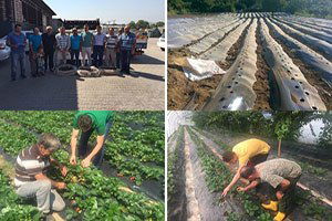 Çiftçiye Alternatif Ürün Desteği Sürüyor