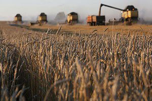 Dünyada Gıda Fiyatlarında Düşüş Durdu