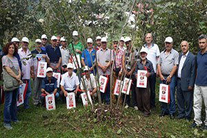 Fındıkta Budama Elemanları Yetiştiriliyor