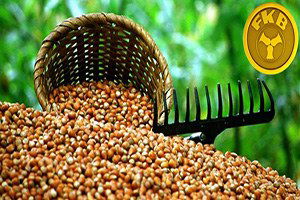 Fiskobirlik`ten Üreticiyi Koruyacak Yaklaşım