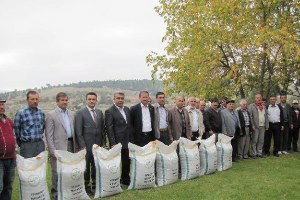 Hisarcık`ta 34 Çiftçiye Ücretsiz Macar Fiği Dağıtıldı