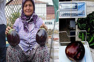 Hormonsuz Da Oluyormuş