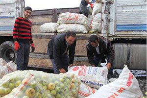 Iğdır`da Organik Tarım Biyoçeşitlilik Arttı