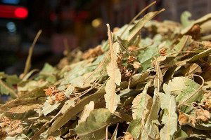 Hızlı Yükselen Ihlamura İthalat Formülü