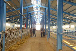 IPARD Kapsamında Ahır Yapımı Gerçekleşiyor