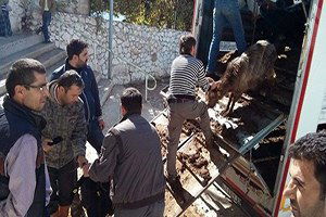 İşsiz Kalan Madencilere Koyun Ve Keçi Dağıtımı