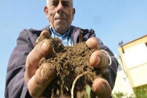 İzmir Büyükşehir`in `Topraksız Tarım` Projesi Hibe Desteği Alacak