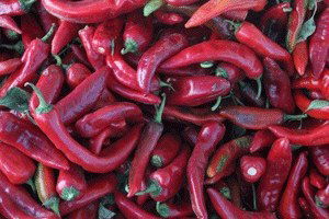 Karaisalı`nın Özgürlüğü: Biber