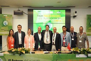 Körfez Zeytinciliğinde Büyük Adım