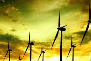 Lisanssız rüzgârın önü açılıyor