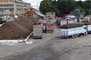 Malatya`da Şeker Pancarı Alım Kampanyası Başladı