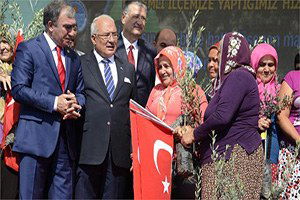 Mersin`de 30 Bin Zeytin Fidanı Dağıtıldı