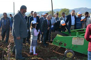 Patates Ekim Alanları Artıyor