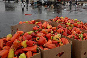 Rusya, 14 Ton Biberi Türkiye`ye Geri Gönderdi