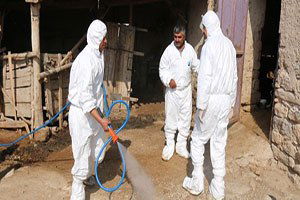 Şap Hastalığı Tam Zamanlı Saha Tatbikatı Yapıldı