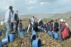 Sertifikalı Patates Tohumluğu Hasadı Başladı