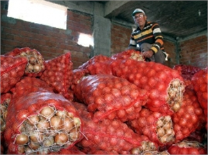 Soğan Bu Yıl Çiftçinin Yüzünü Güldürdü