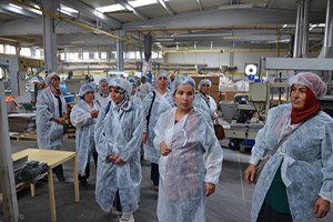 Tokat`lı Kadın Çiftçiler Denizli`de Tarımsal Yeniliklere Hayran Kaldı