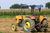 Türkiye Traktör Pazarı Büyüdü