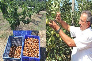 Türkiye`ye 92 Çeşit Yeni Ürün Kazandırdılar