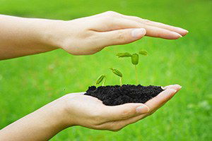 Bayramiç`te Üreticilere Tohum Desteği