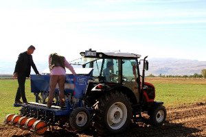 Van Büyükşehir Belediyesi`nden Sarımsak Ekimi