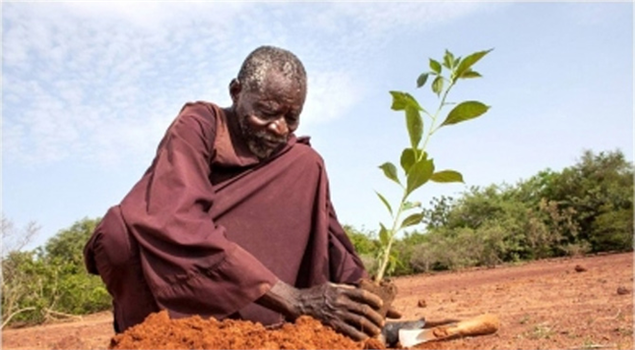 Tek Başına Çölleşmeyi Önleyen İnsan