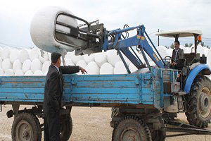 Yenişehir`de Silaj Tesisi Çiftçiyi Güldürdü