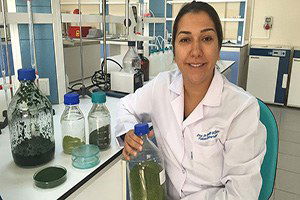 `Yosunlu` Yoğurt Ve Peynir Üretilecek