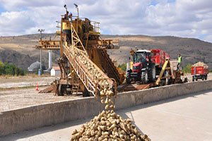 Yozgat`ta Pancar Hasadı Başladı